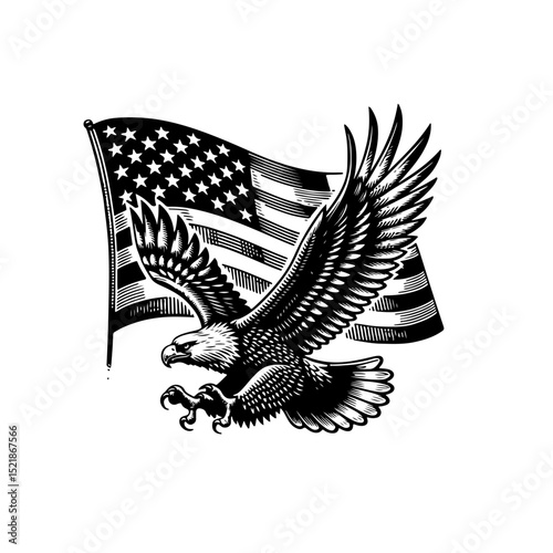 bird, eagle, vector, silhouette, flying, illustration, animal, wing, tattoo, wings, black, fly, hawk, feather, freedom, nature, design, symbol, wildlife, dove, flight, falcon, art, birds, drawing