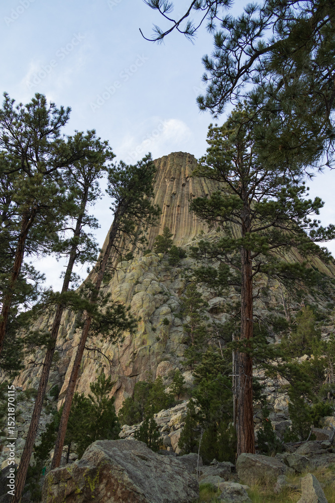 Obraz premium Devils Tower National Monument, Wyoming 
