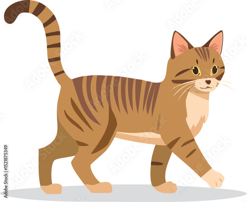 Beautiful Cat Walking