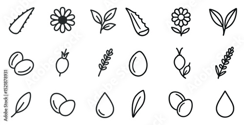 Variety of natural elements and herbs in line art for design inspiration