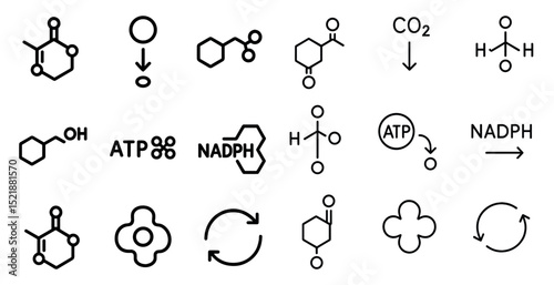 Chemical symbols and organic chemistry diagrams for educational use
