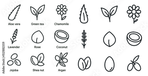 Natural skincare ingredients icons for organic product design