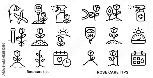 Rose care tips icon set for gardening guides and plant maintenance
