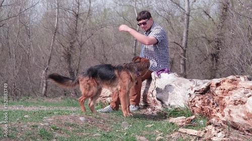 man walking his dog, sitting on huge tree trunk in the forest calling for dog and letting it go , using smartphone