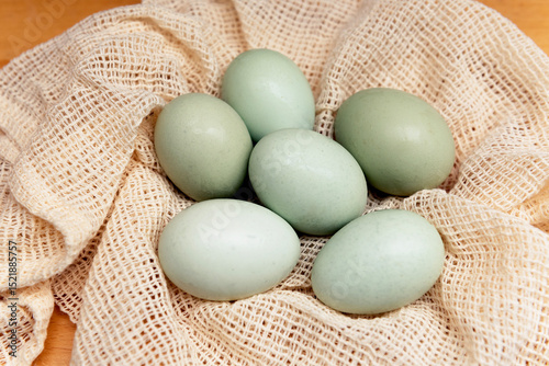 Free Range Bluebell Aurancana Eggs
