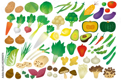 Editable Veggie Variety Watercolor Clipart: Heirloom Root Vegetables & Leafy Greens in Seasonal Harvest Tones