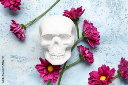 Human skull with beautiful ...