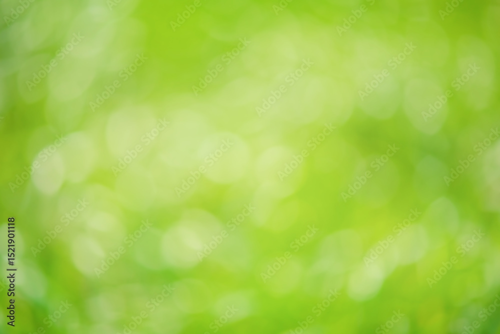 Abstract defocused background. Natural defocused lights green. Greenery, bokeh Abstract defocused background. Natural defocused lights green. Greenery, bokeh