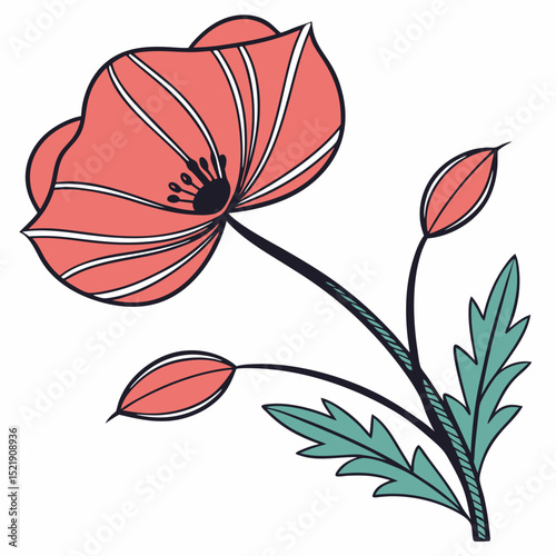 Poppy Illustration Vintage Floral Art