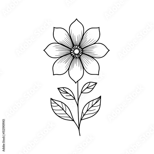 Outline Flower Illustration