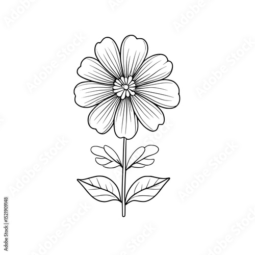 Outline Flower Illustration