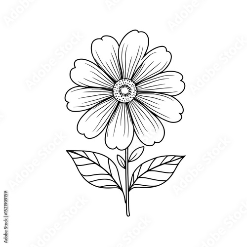 Outline Flower Illustration