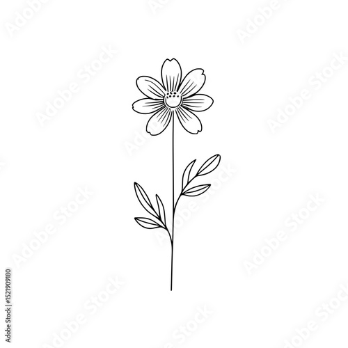 Outline Flower Illustration