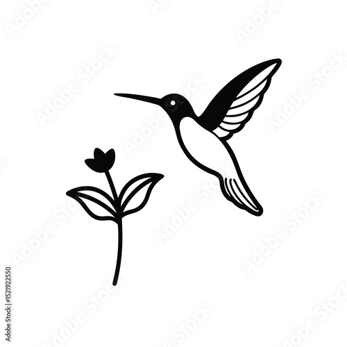 Hummingbird Flower Vector Art