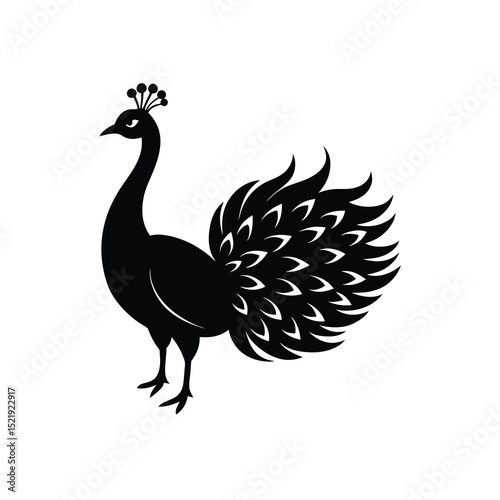 Peacock Feathers Vector Black and White