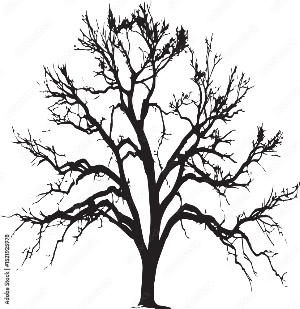 Fototapeta premium Robust Bare Tree Silhouette