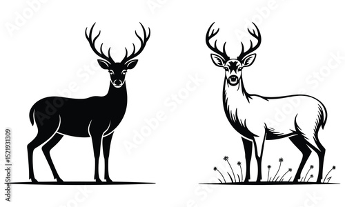 silhouette of deer