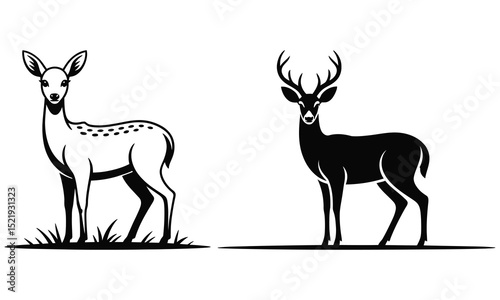 deer