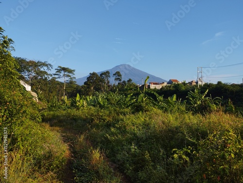 the road to the mountains