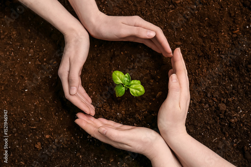 Female hands and plant seed...