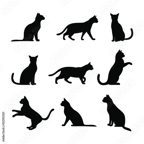 Cat Silhouettes Collection Various Black Feline Poses Vector Icons