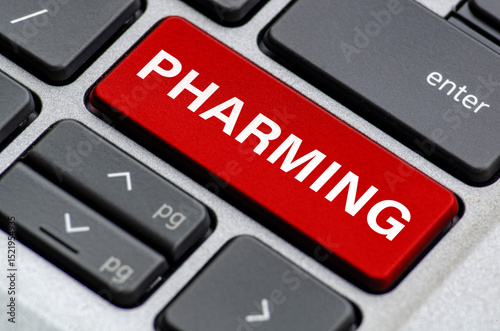 Pharming text on laptop keyboard indicating where users can be redirected unknowingly to fake websites photo