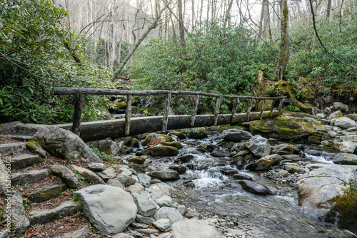 Stairs and Bridge Along Madron Bald Trail In Great Smoky Mountains