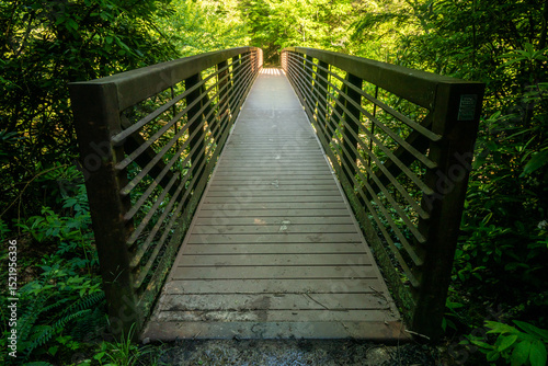 Sturdy Bridge Crosses Gap In New River Gorge