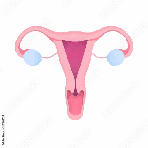 digitally created artistic image of a uterus 12