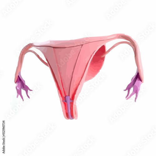 digitally created artistic image of a uterus 11