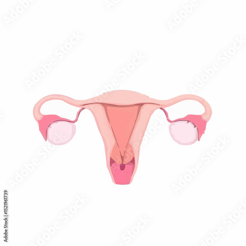 digitally created artistic image of a uterus 9