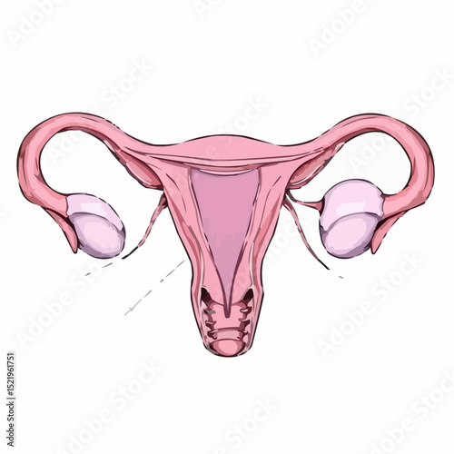 digitally created artistic image of a uterus 6