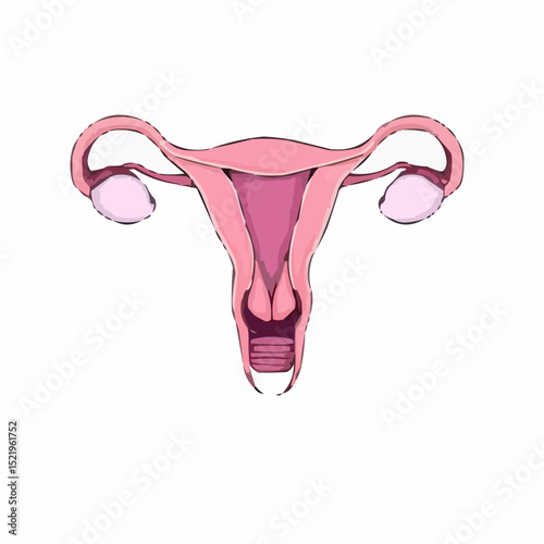 digitally created artistic image of a uterus 5