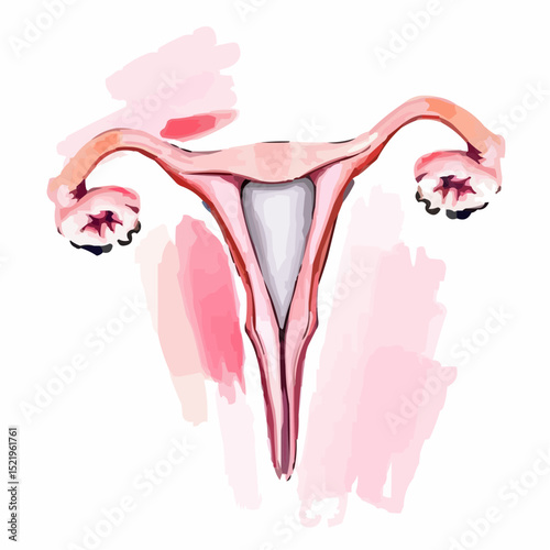 digitally created artistic image of a uterus 3