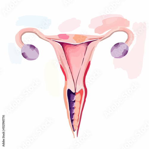 
alternative digital image of the uterus 100