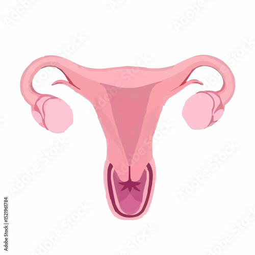
alternative digital image of the uterus 99