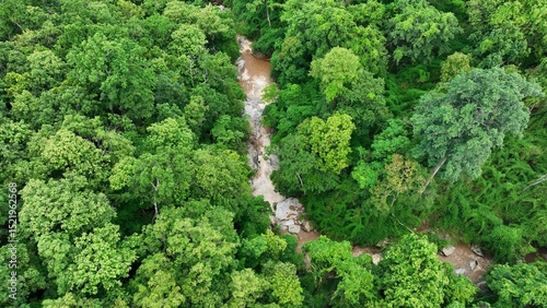 Aerial shot captures dense green forest and pristine rocky river, showcasing sustainable land management and conservation efforts that protect biodiversity and water resources. Thailand.
