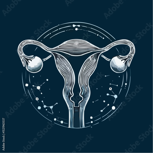 
alternative digital image of the uterus 13