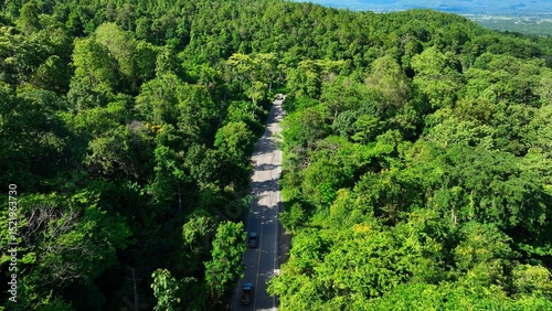 Aerial drone view of a scenic road running through vibrant forest terrain, showcasing how transportation networks traverse and connect natural environments. Thailand.
 photo