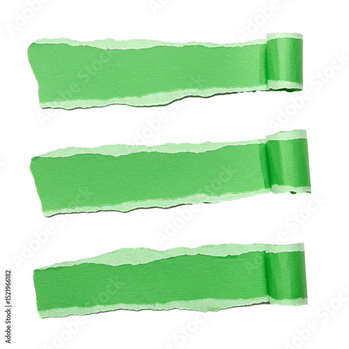 green ripped paper torn edge strip isolated on white background	