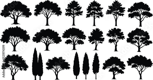 Trees silhouette vector set