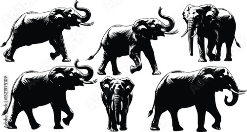elephant silhouette vector set