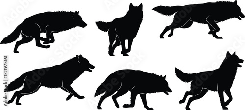 Wolf silhouette vector set