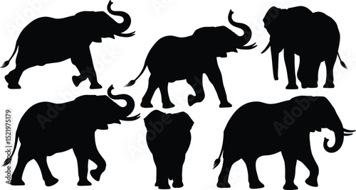elephant silhouette vector set