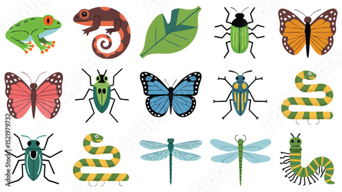 Vibrant Insect and Reptile Collection: Colorful Illustrations of Nature's Creatures