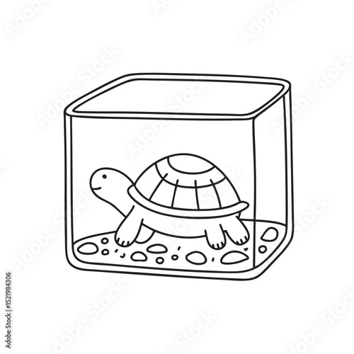 A turtle placed in a square aquarium with pebbles