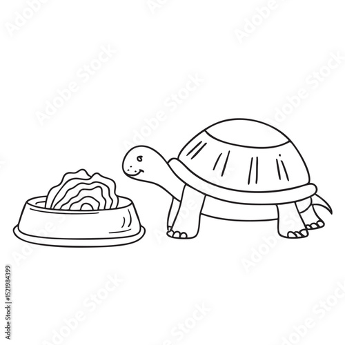 A turtle near a feeding dish filled with cut cabbage