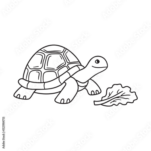 A turtle slowly walking by scattered lettuce leaf