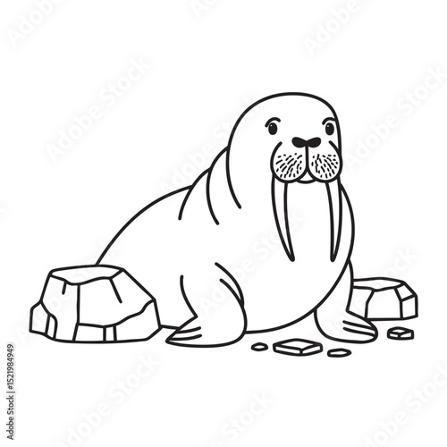 A walrus resting its tusks on a frozen rock