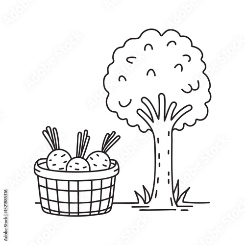 Turnips next to a harvest basket under a tree